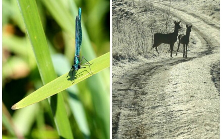 Kas slepiasi už nuotraukų: dviejų moterų prisipažinimai