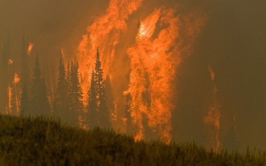 Firefighters put four major fires in Lithuania under control - EN.DELFI