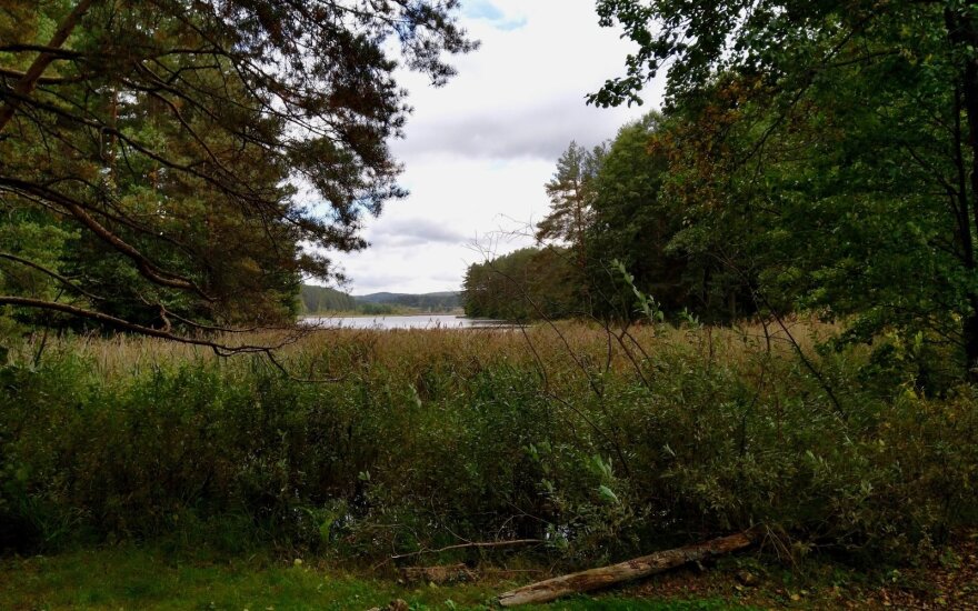 Tolumoje iškilęs Būdakalnis – vienas aukščiausių „kalnų“ Lietuvoje. Jo aukštis – 285 m virš jūros lygio. Viršūnėje budintiems stebėtojams uždegus didelį laužą kylantys dūmai turėjo matytis iš tolo ir taip mūsų gentainiams senovėje signalizuoti pavojų apie artėjančius priešus. Fotografuota nuo Paplovinio ežero kranto Ignalinos mieste