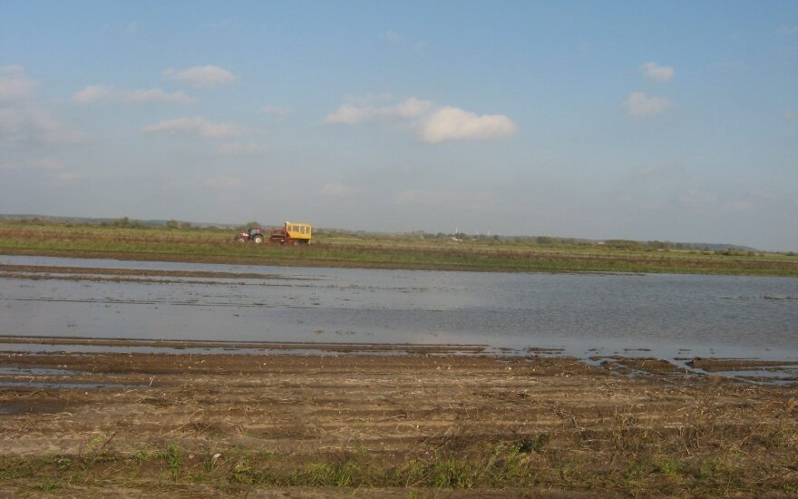 European Commission grants EUR 9.2 mln to Lithuanian farmers affected by heavy rainfall (Updated)