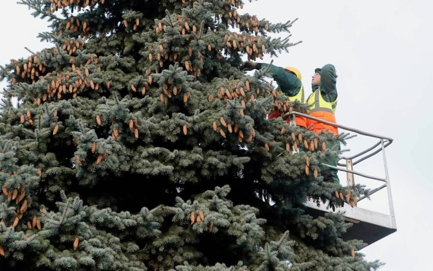 Klaipėda ruošiasi švenčių pradžiai: sužibs net dvi žaliaskarės