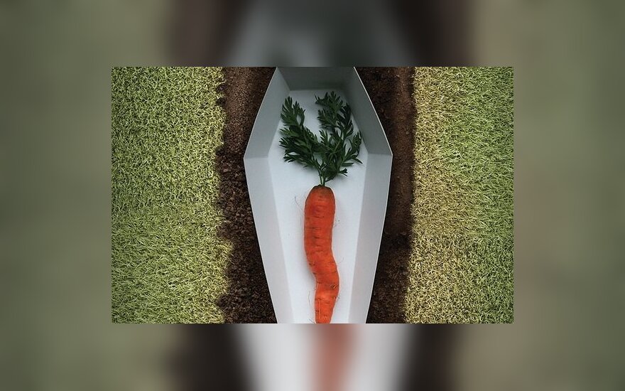  „Paskutinis morkos noras buvo būti suvalgyta“ / © United Nations Regional Information Centre nuotr. 