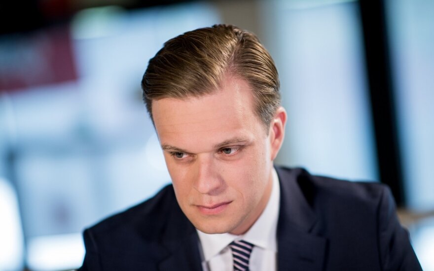 Gabrielius Landsbergis. Valdžios be atsakomybės metai