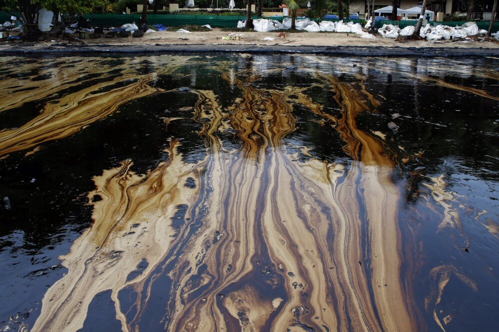 Nafta sukėlė ekologinę katastrofą.