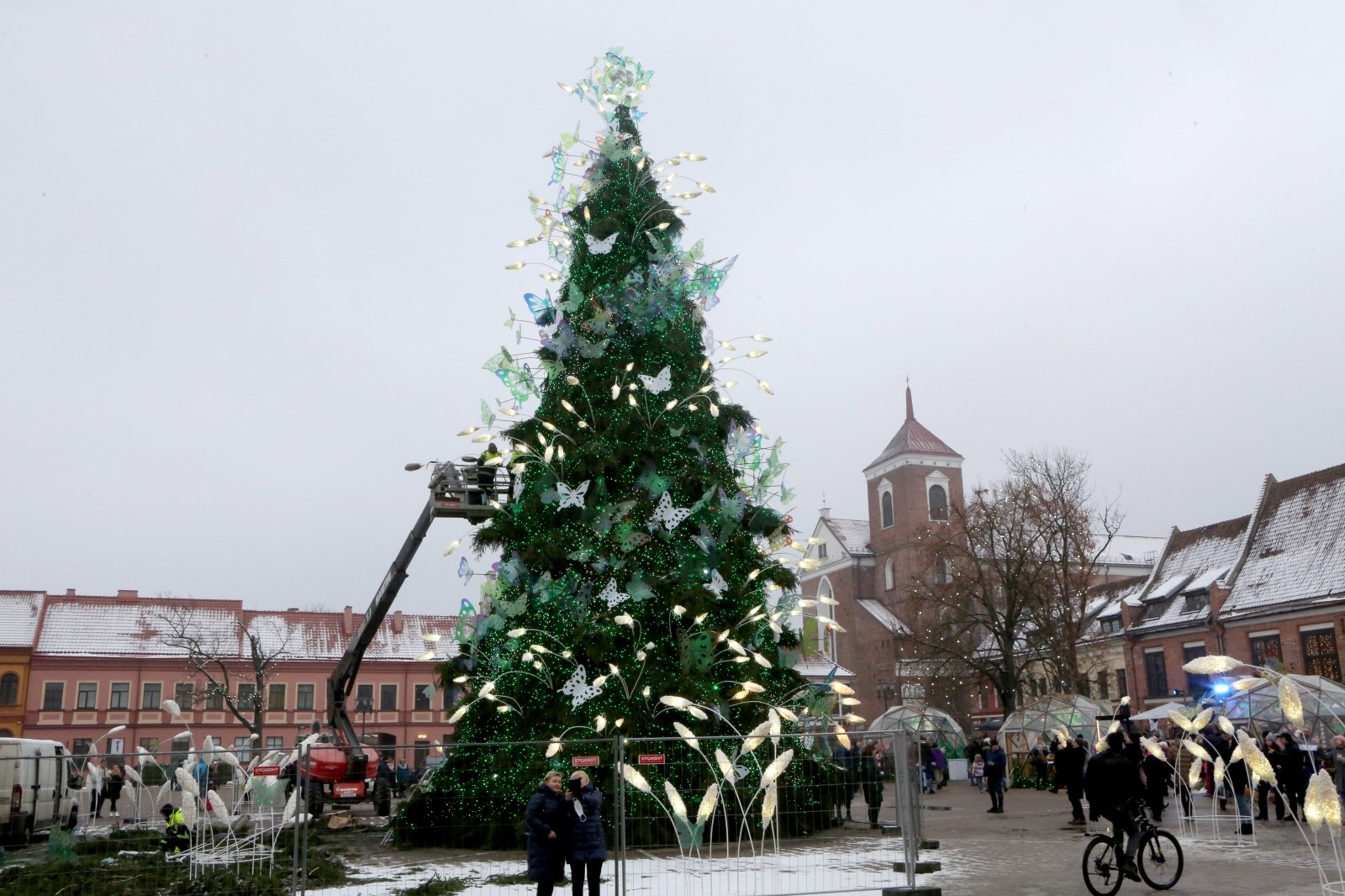 The burnt Kaunas spruce was reborn as a phoenix from the ashes: today it looks completely different