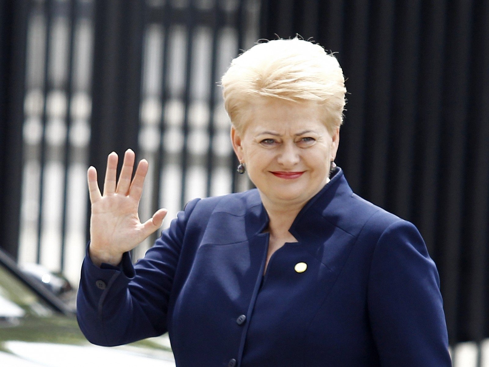 Image result for grybauskaitÄ