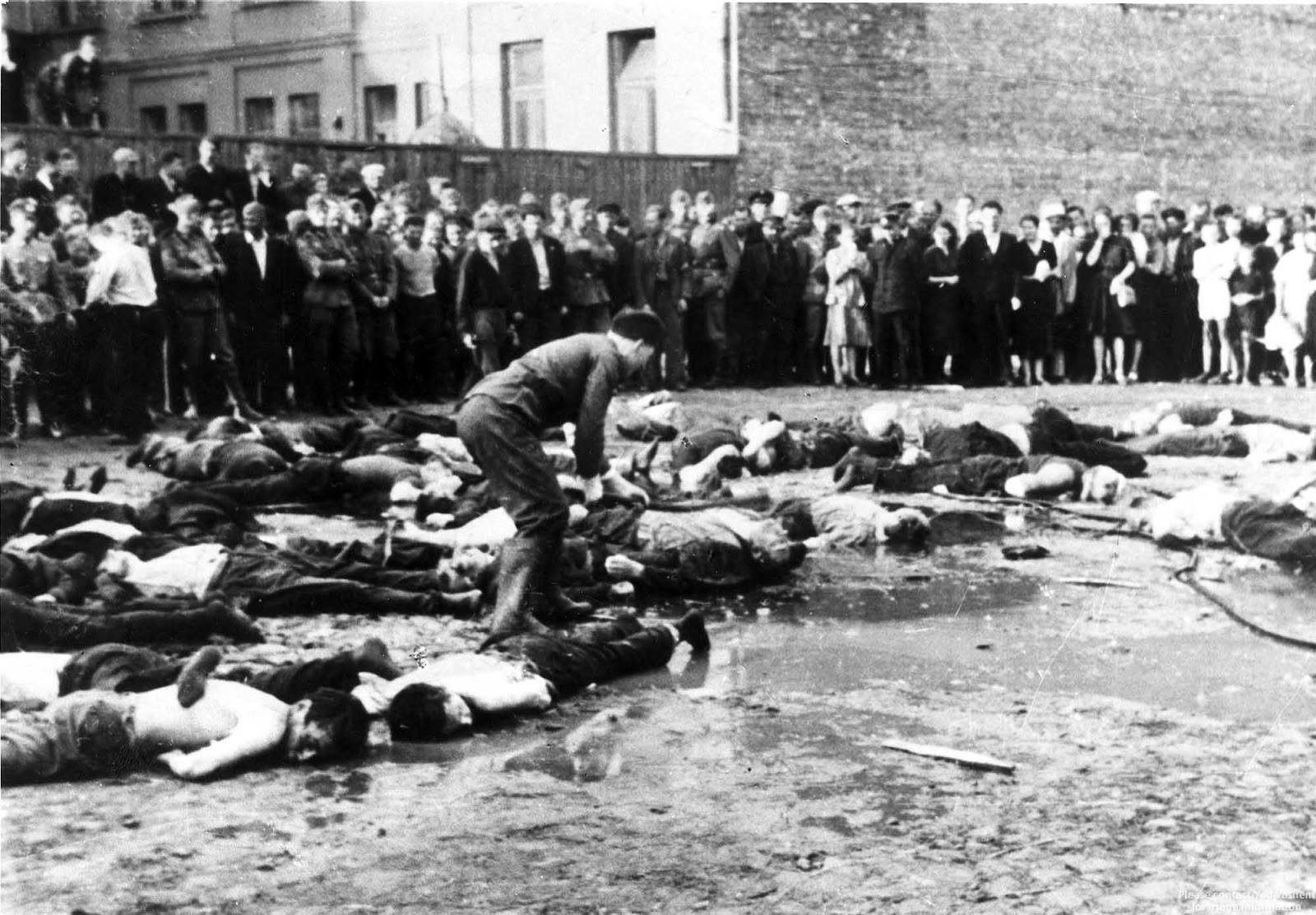 Macaque massacre in Kaunas: The Nazis, who pushed Lithuanians, had a secret plan