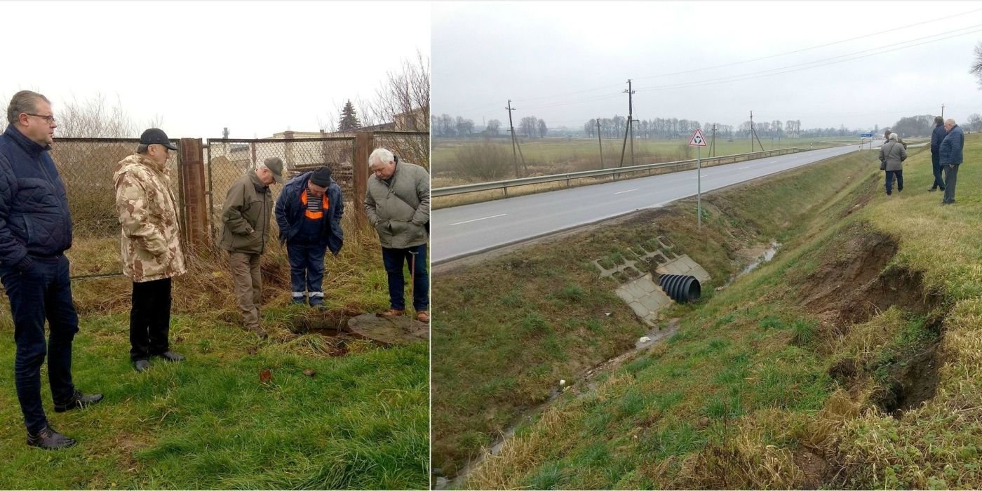 Aiskinosi Kodėl Slenka Pelėdnagių Slaitai įtaria Zmogaus Veikla Delfi Miestai