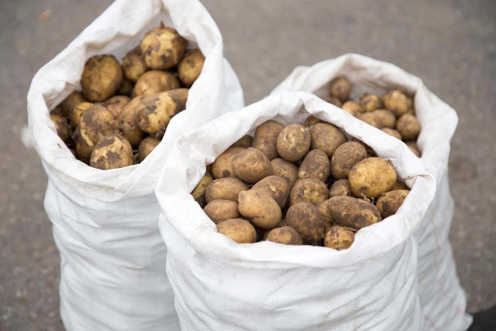 Madam circulation behind Kokios bulvių, medaus ir baravykų kainos provincijos turguje – vilniečius  tai gali šokiruoti - DELFI Agro