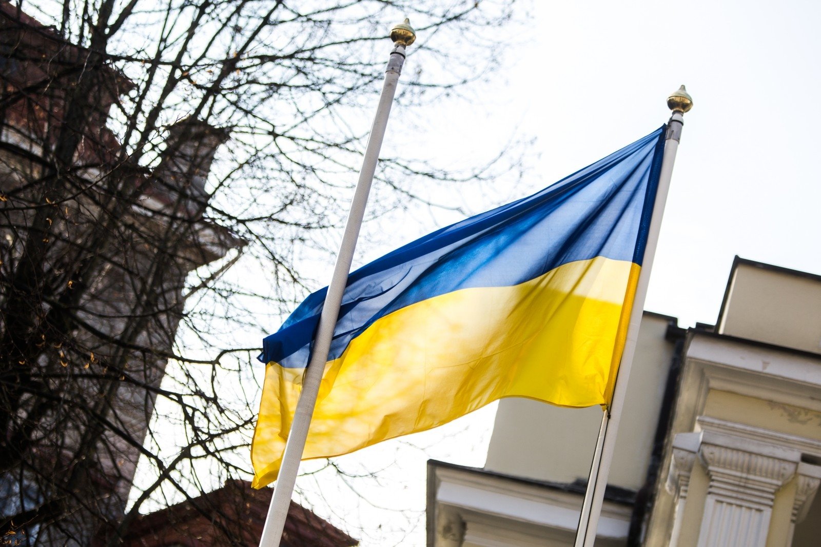 Estija: Ukrainos vėliavą išniekinusiam vyrui skirta lygtinė laisvės atėmimo bausmė